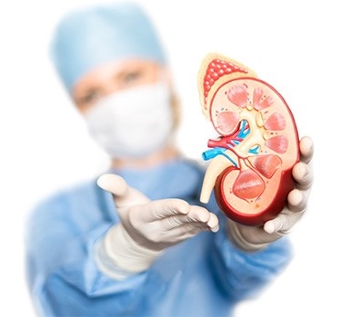 Organ Transplant Center