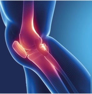 Orthopedics and Traumatology